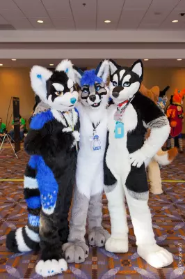 IMG_8387-lr19t.jpg of MFF/MFF2017/