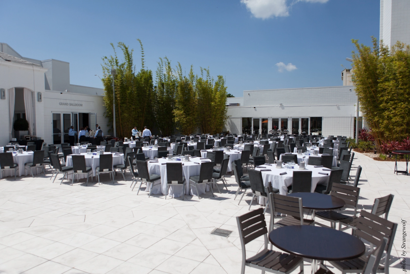 full image IMG_8781-lr16t.jpg