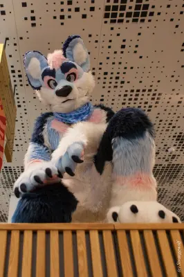 IMG_8411-lr19t.jpg of NFC/NFC2020/