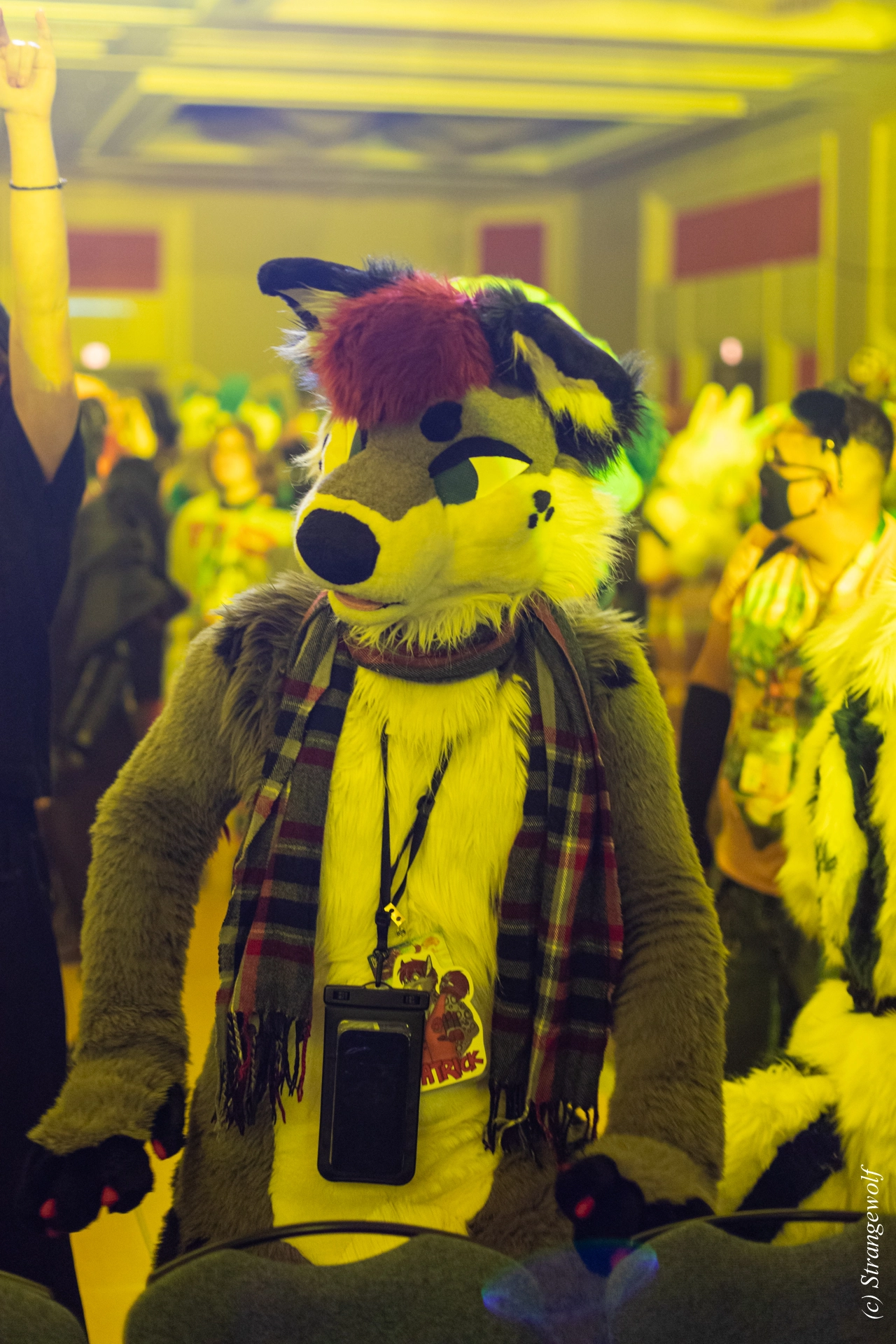 full image 1R3A0456-lr19t.jpg