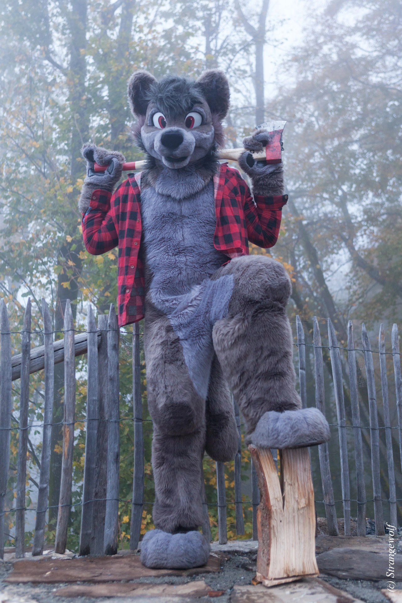 full image IMG_7120-lr19t.jpg