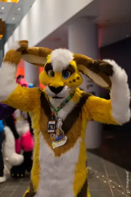 IMG_9132-lr19t.jpg of NFC/NFC2020/