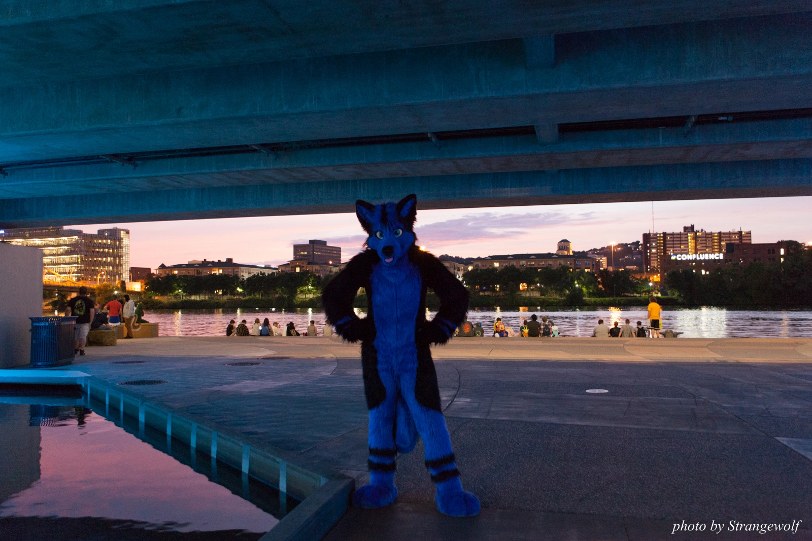 full image IMG_8400-lr16t.jpg