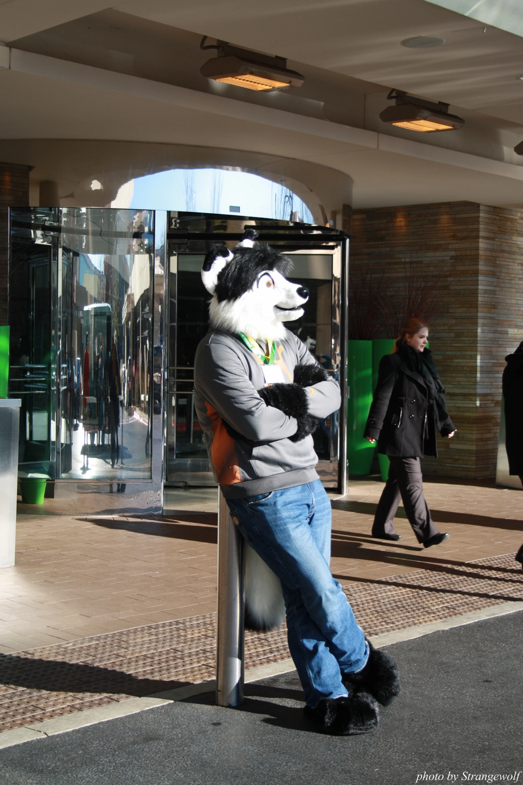 full image IMG_0905-lr.jpg