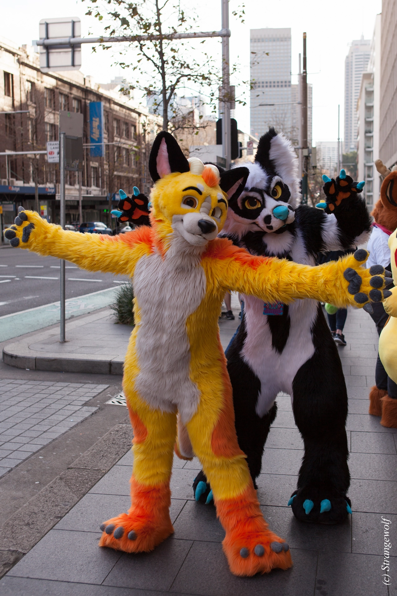 full image IMG_4563-lr19t.jpg