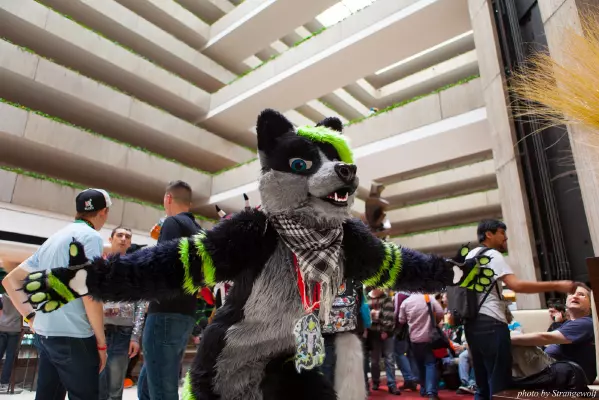 IMG_5844-lr16t.jpg of MFF/MFF2014/