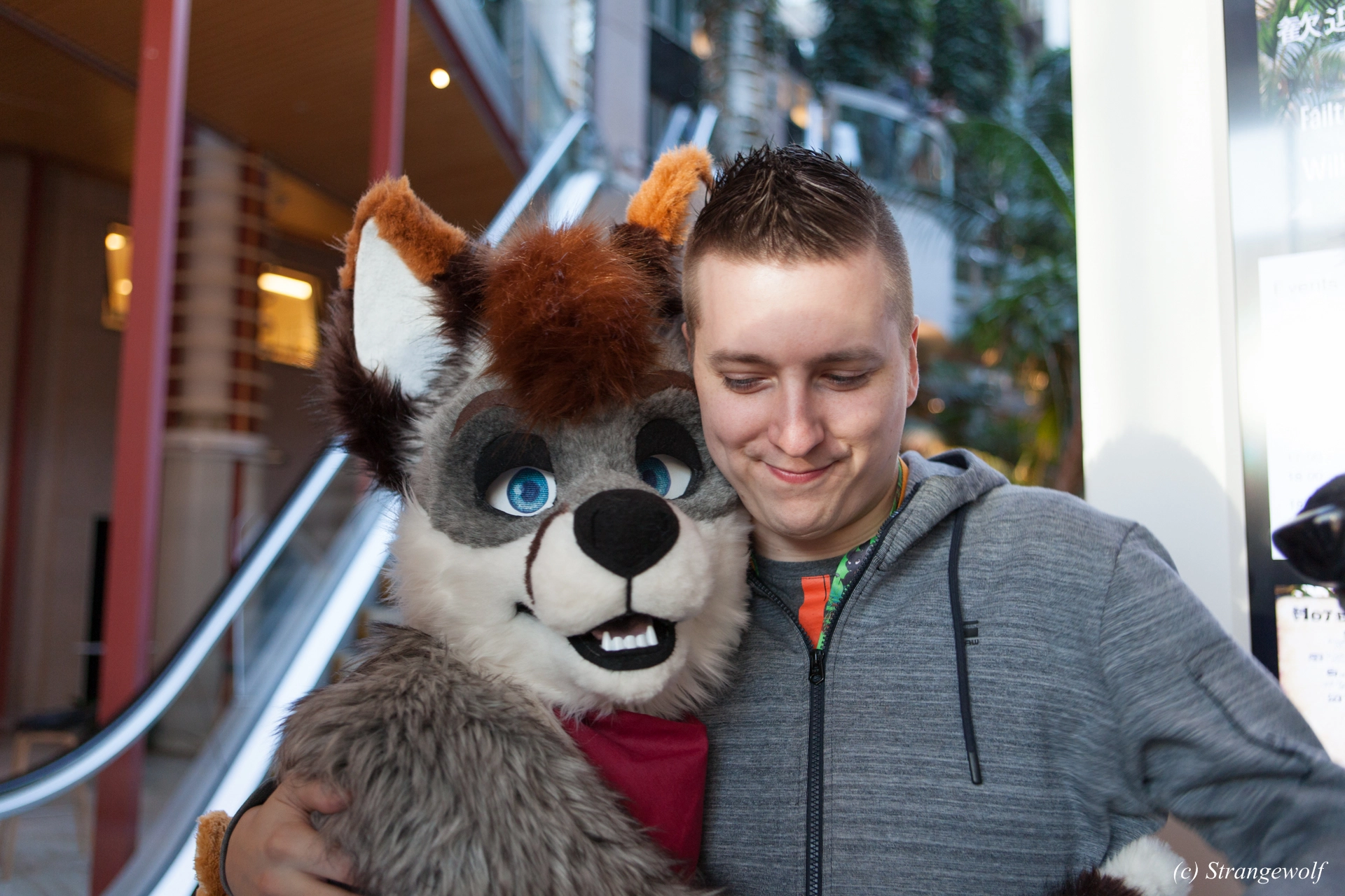 full image IMG_0175-lr19t.jpg