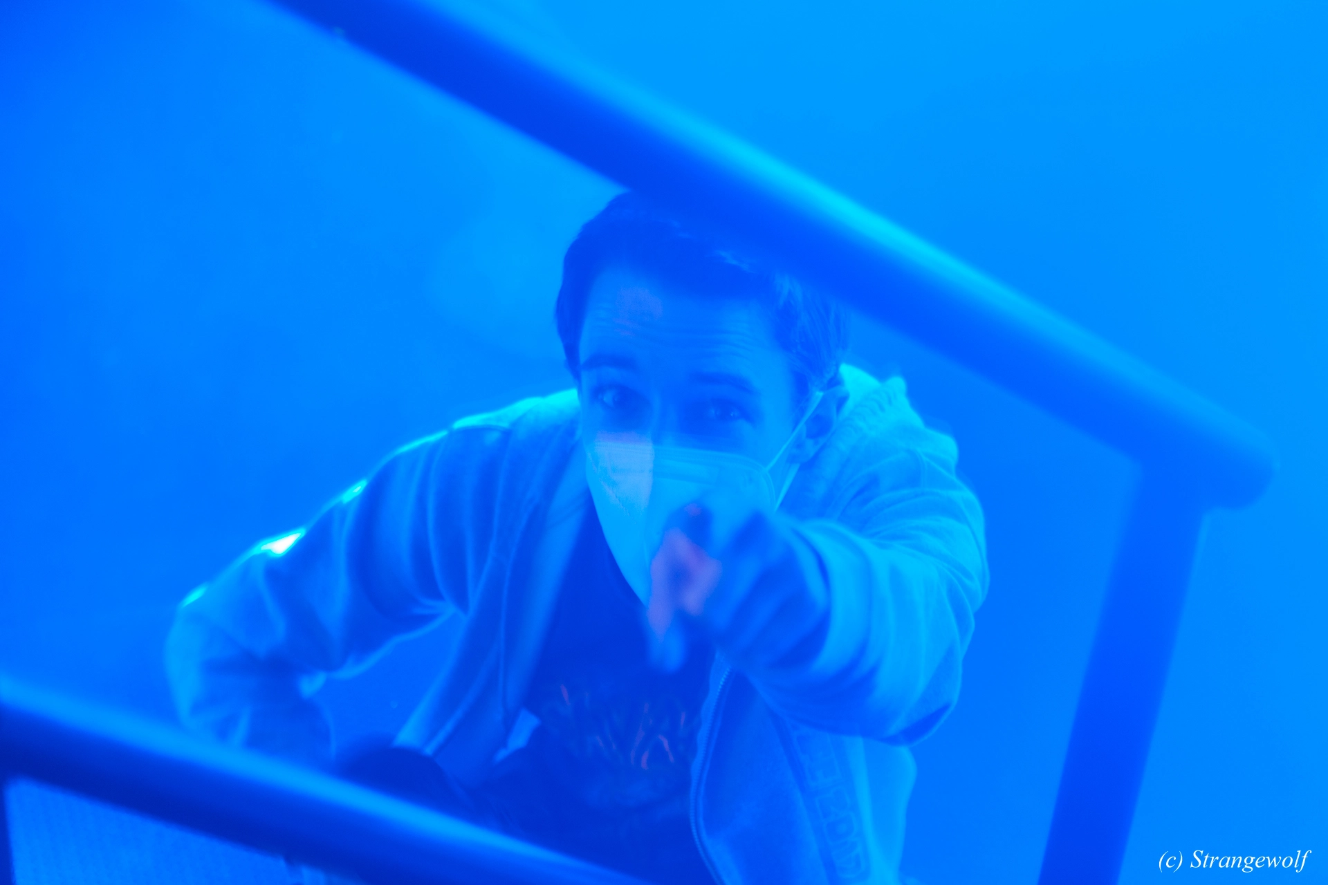 full image IMG_1409-lr19t.jpg