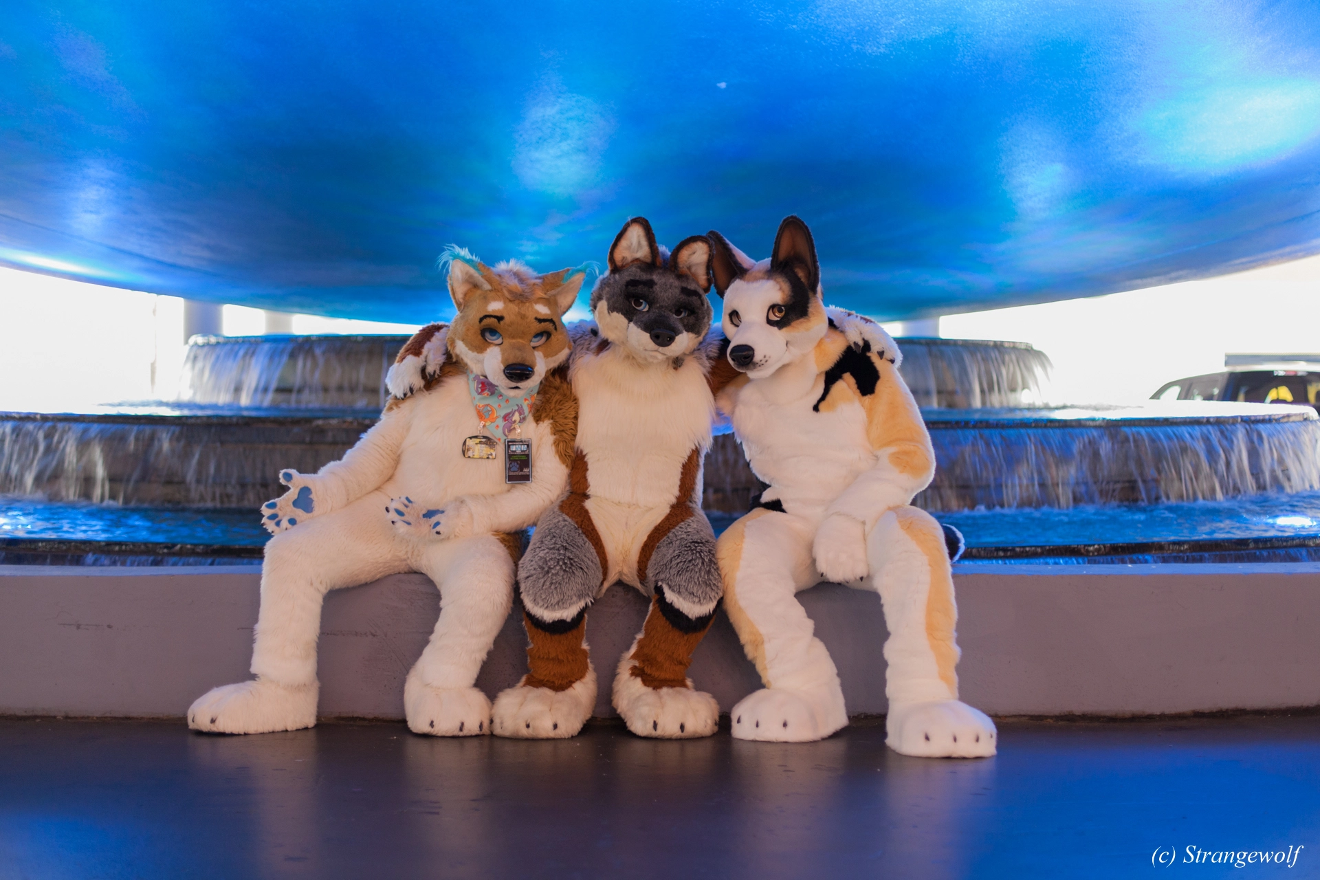 full image IMG_1662-lr19t.jpg