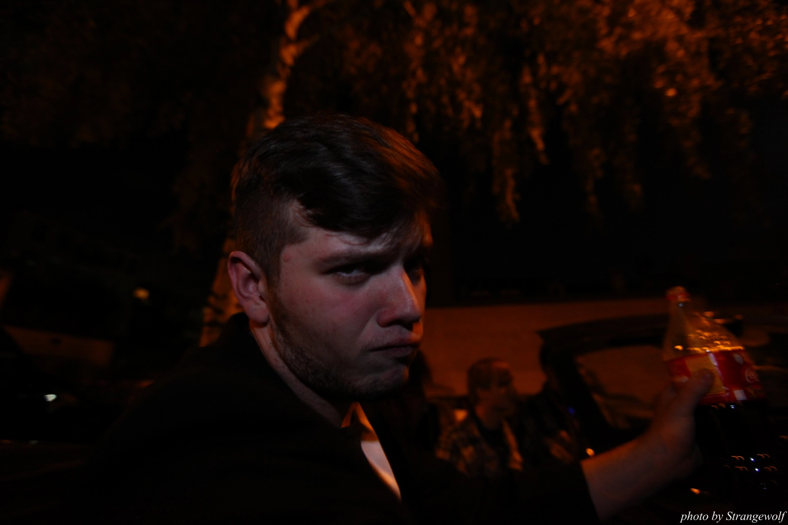 full image IMG_7615-lr16t.jpg