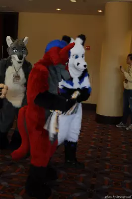 IMG_0588-lr.jpg of MFF/MFF2013/
