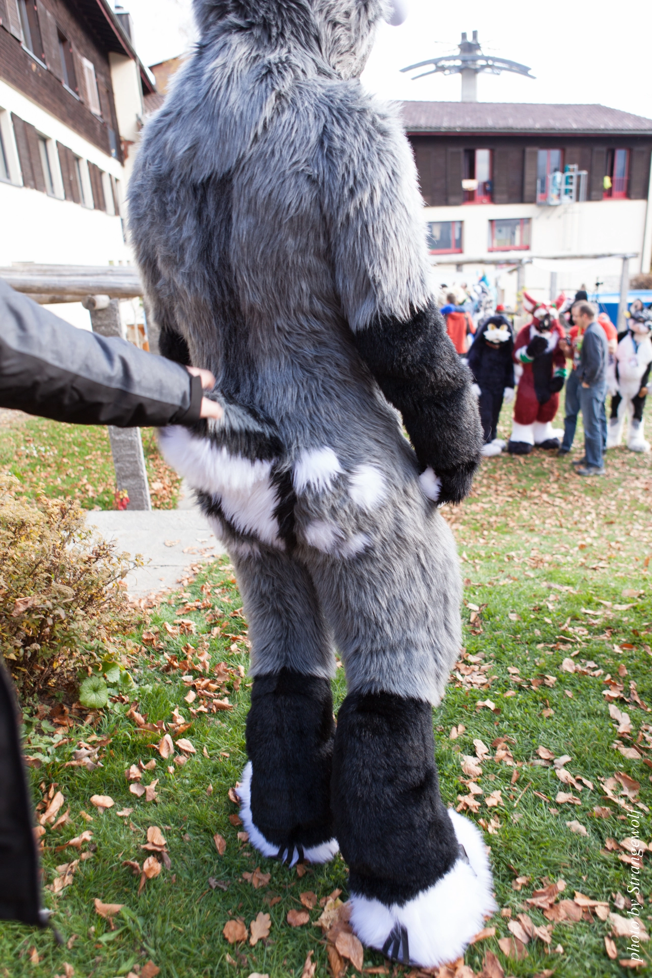 full image IMG_7863-lr19t.jpg