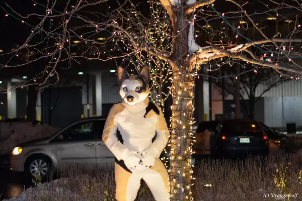 IMG_7171-lr19t.jpg of MFF/MFF2018/