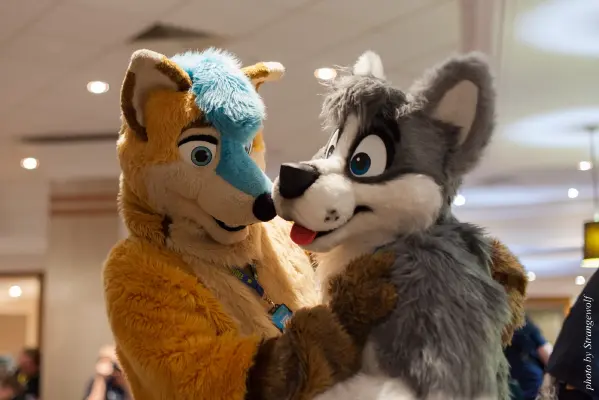 IMG_7673-lr16t.jpg of CFZ/CFZ2016/