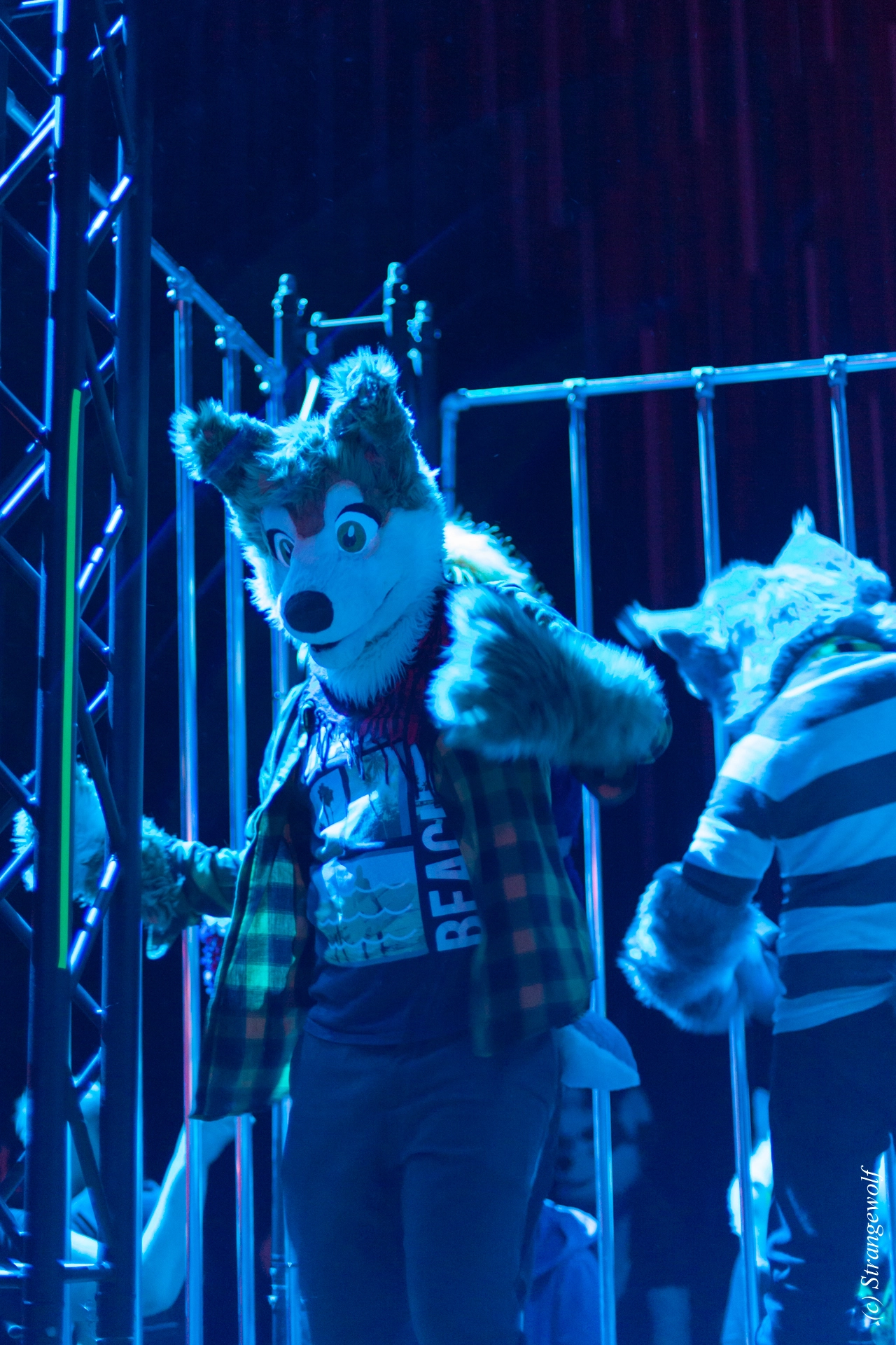 full image IMG_9294-lr19t.jpg