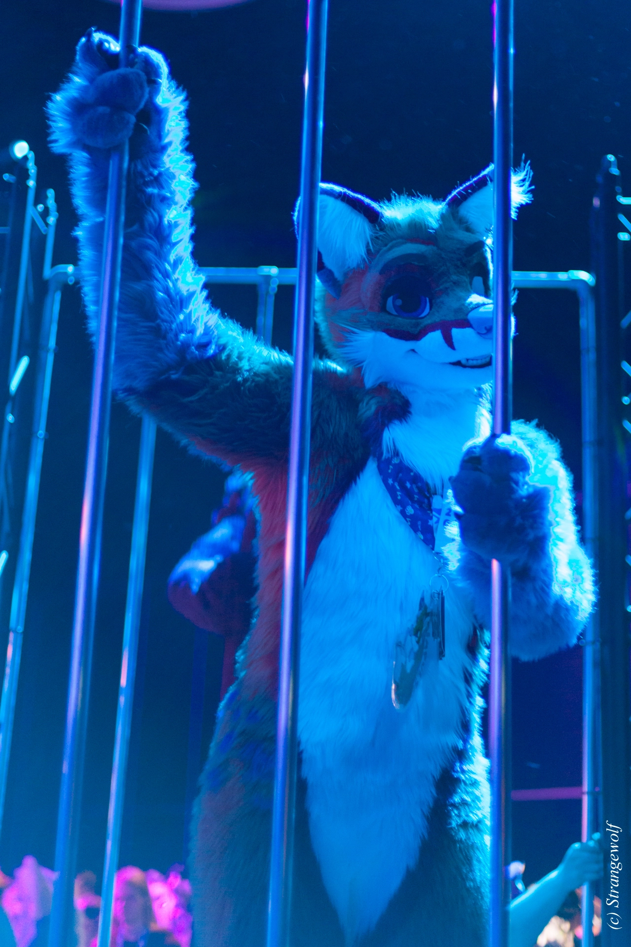 full image IMG_9267-lr19t.jpg