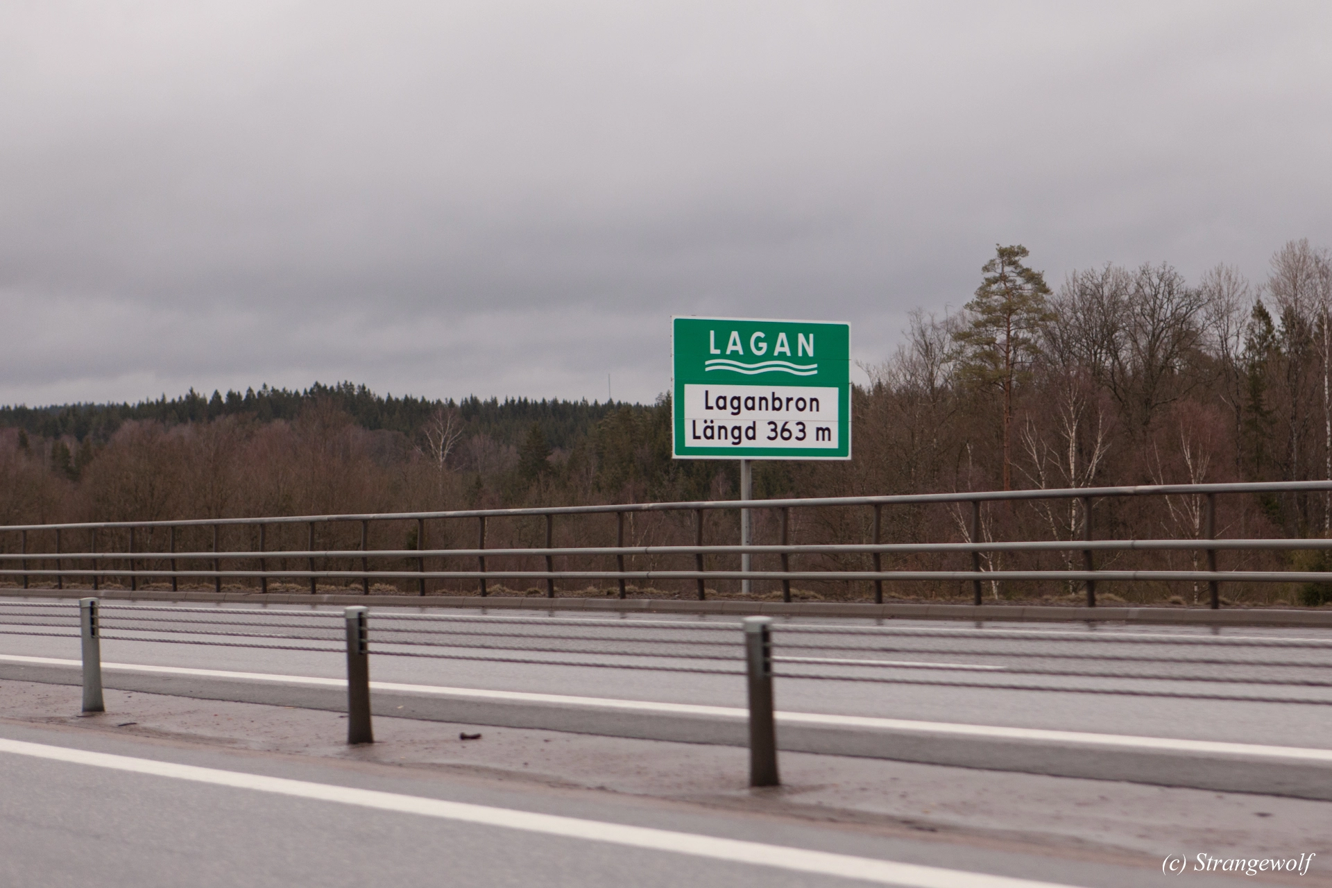 full image IMG_0006-lr19t.jpg