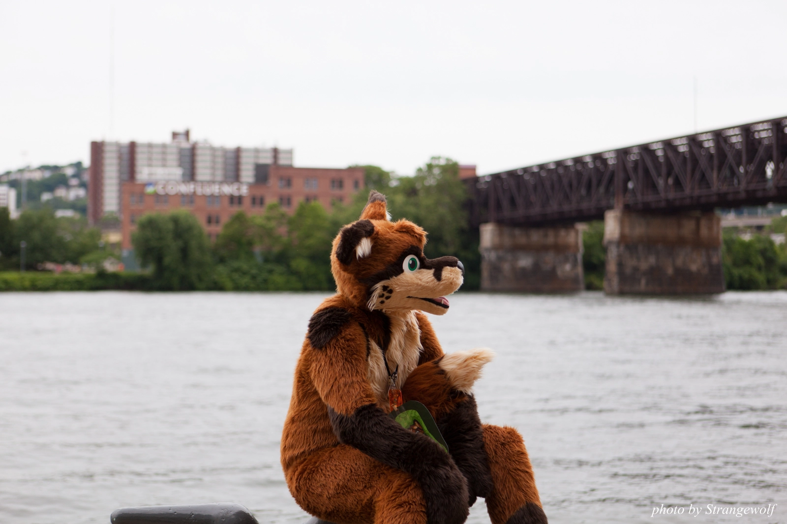 full image IMG_8325-lr16t.jpg