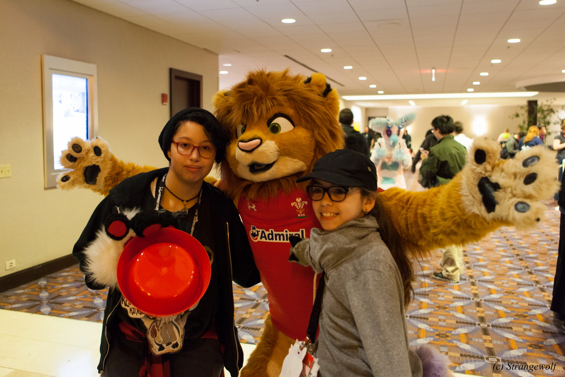 full image IMG_8563-lr19t.jpg