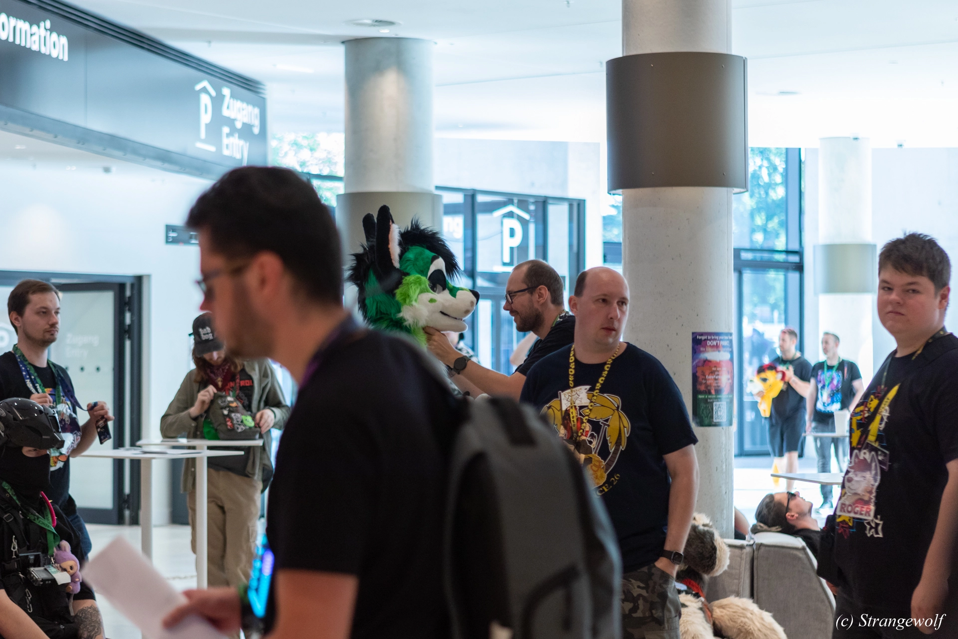 full image 1R3A9223-lr19t.jpg