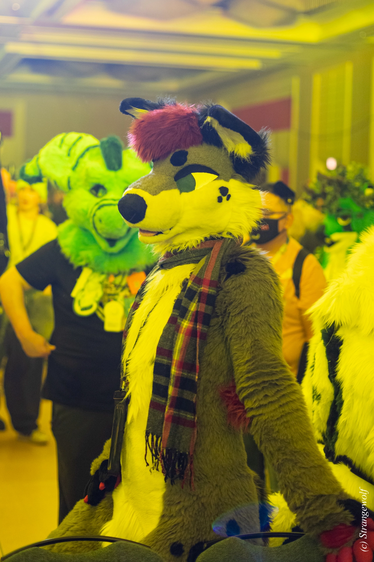 full image 1R3A0461-lr19t.jpg