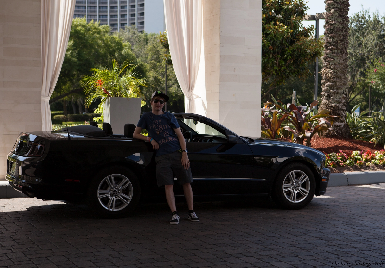 full image IMG_8849-lr16t.jpg