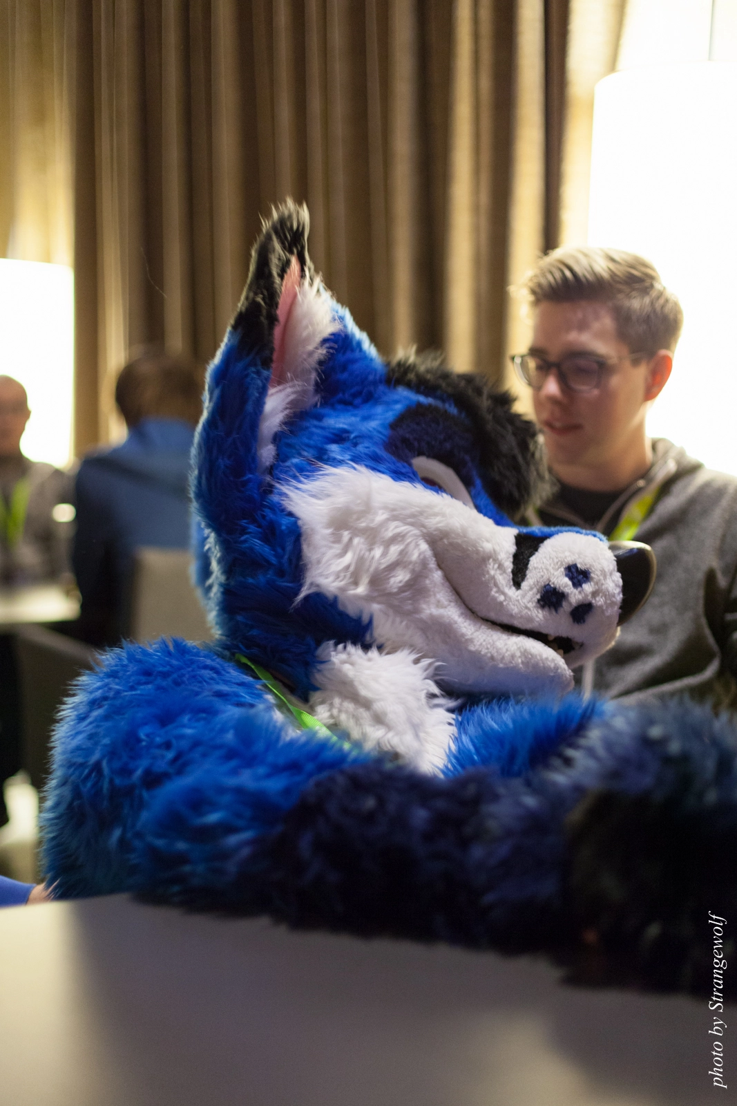 full image IMG_1571-lr16t.jpg