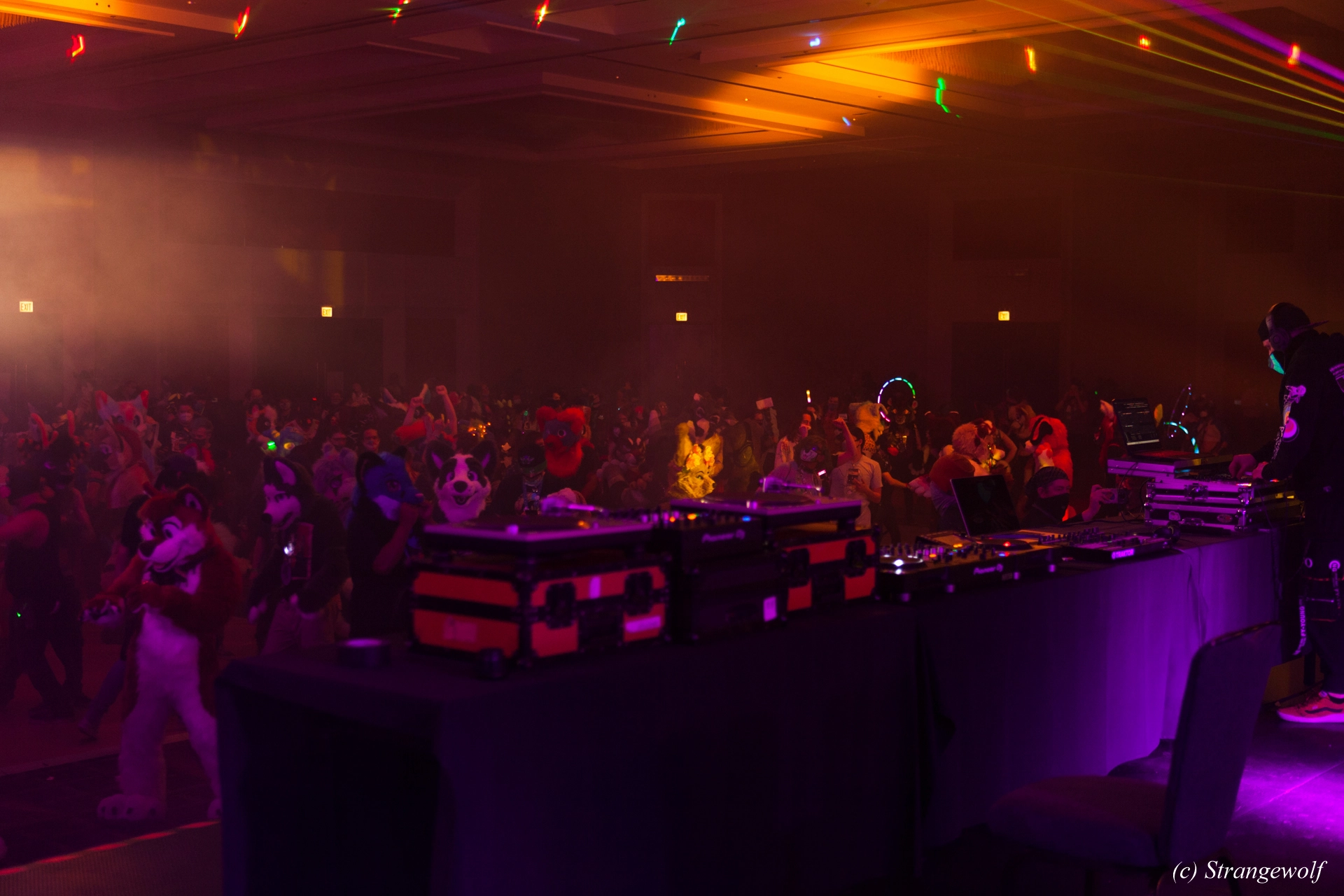 full image IMG_2055-lr19t.jpg