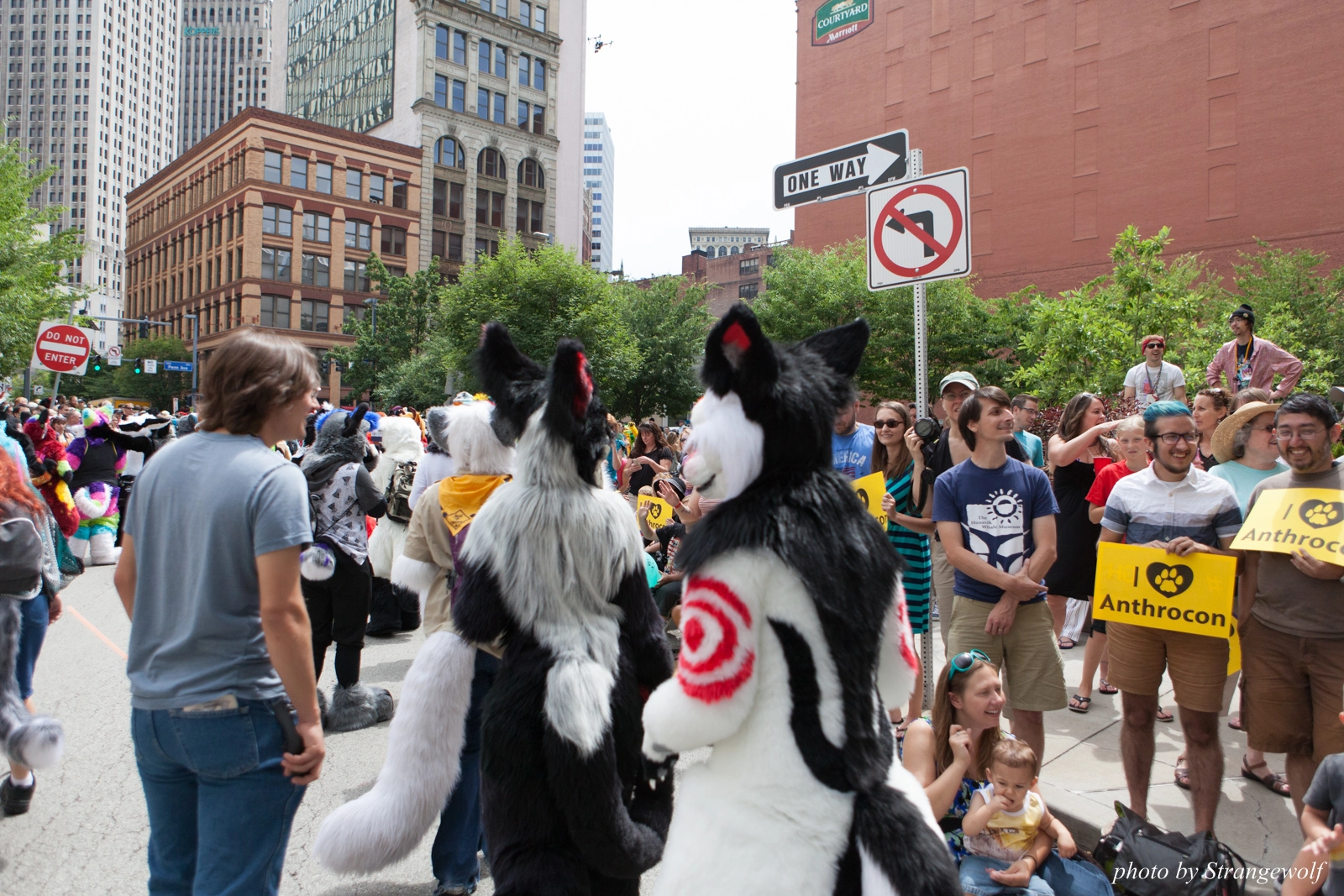 full image IMG_8049-lr16t.jpg