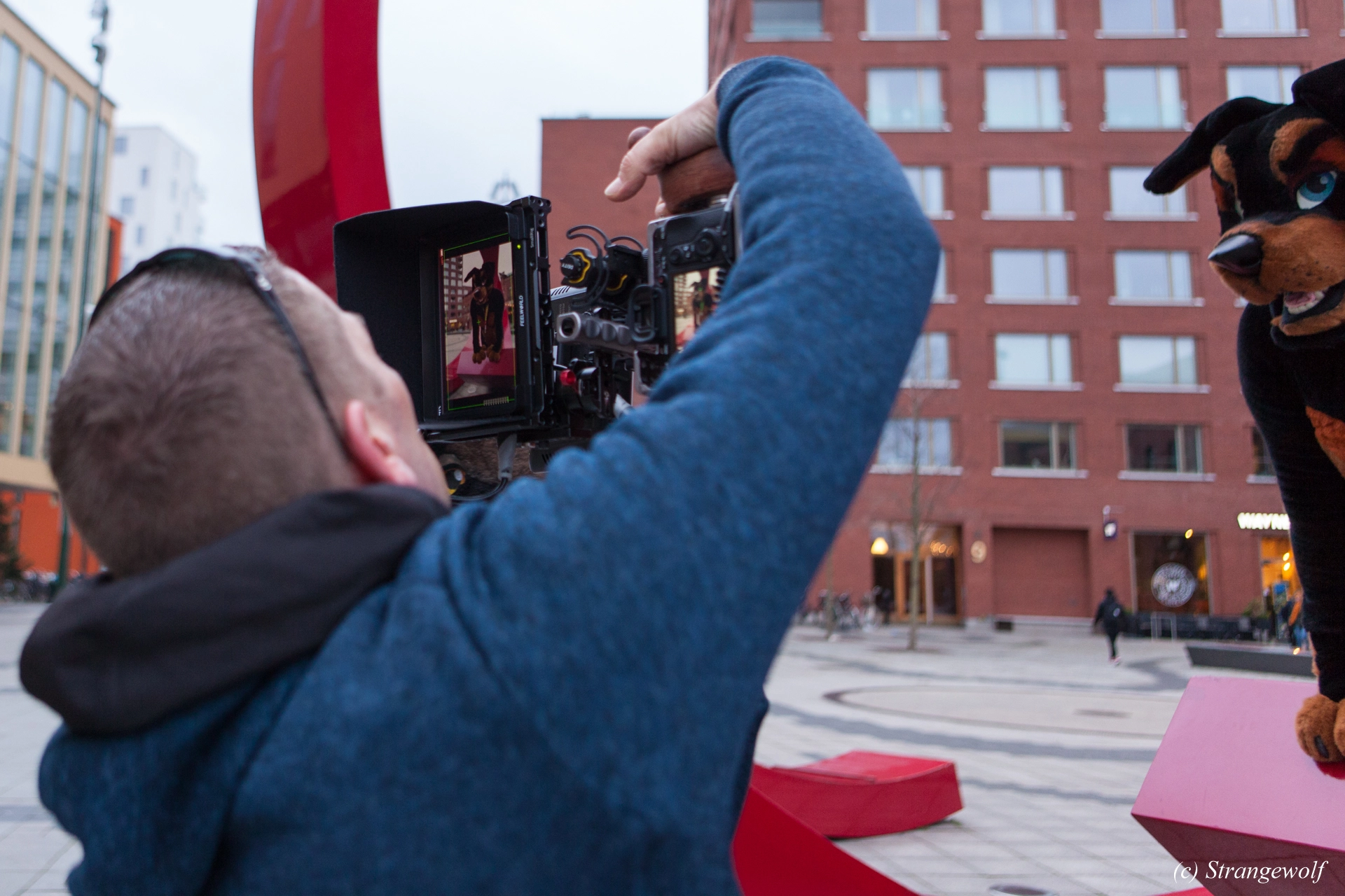 full image IMG_8581-lr19t.jpg