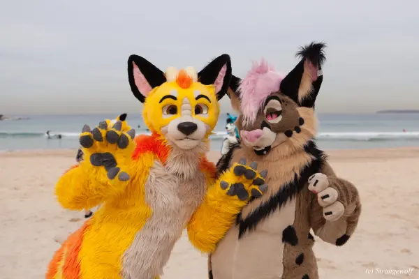 IMG_4472-lr19t.jpg of HCFC/HCFC2019/