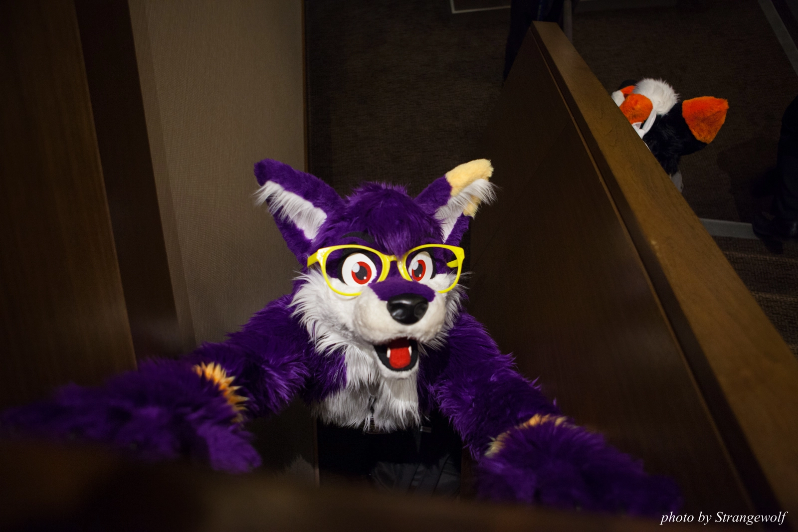 full image IMG_1009-lr16t.jpg