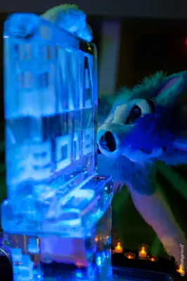 IMG_2078-lr19t.jpg of FWA/FWA2018/