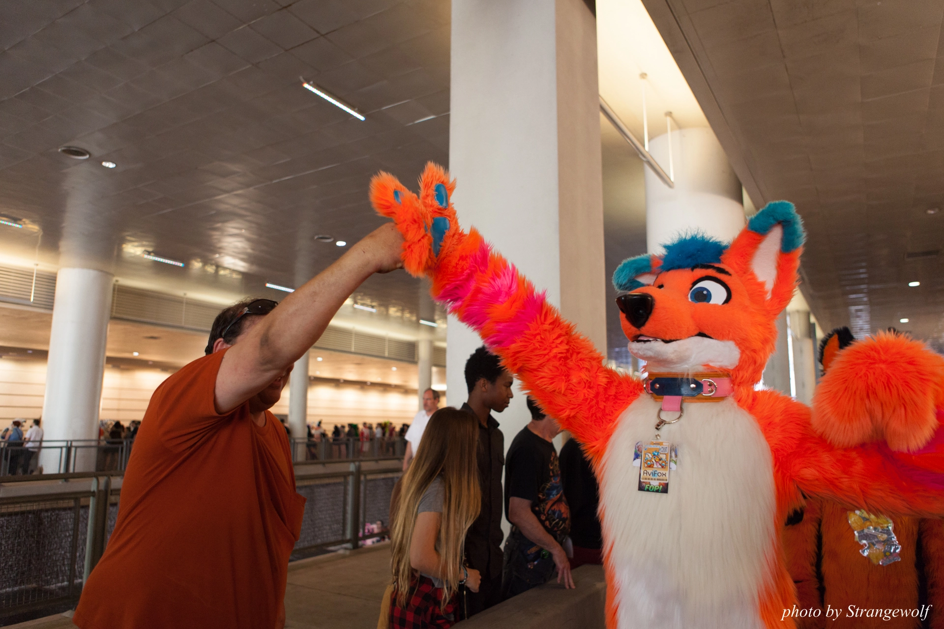full image IMG_4515-lr19t.jpg
