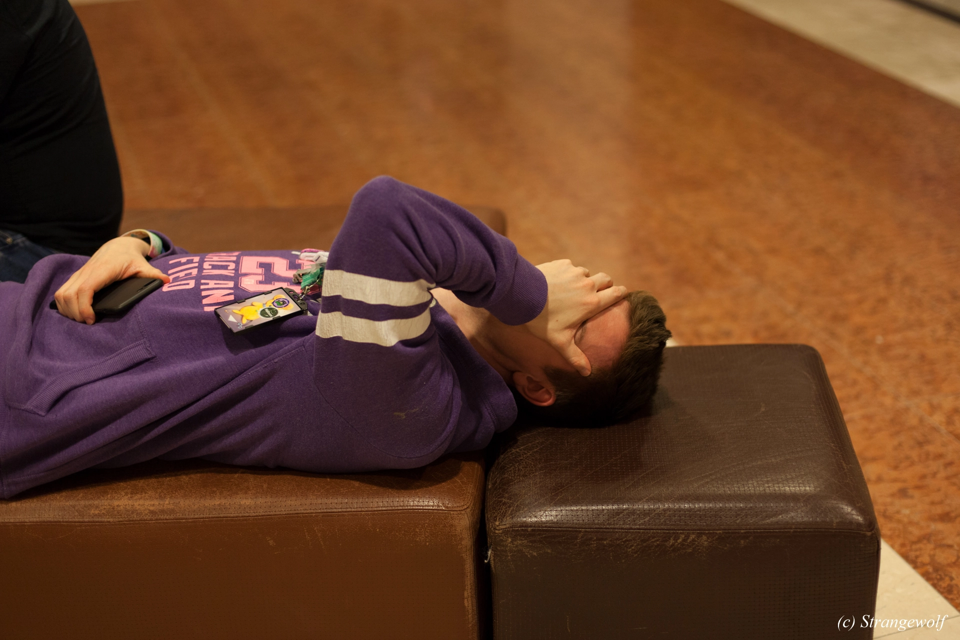 full image IMG_9969-lr19t.jpg