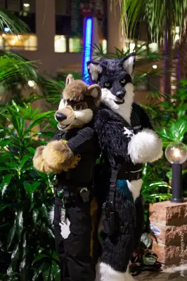 IMG_0746-lr19t.jpg of NFC/NFC2018/