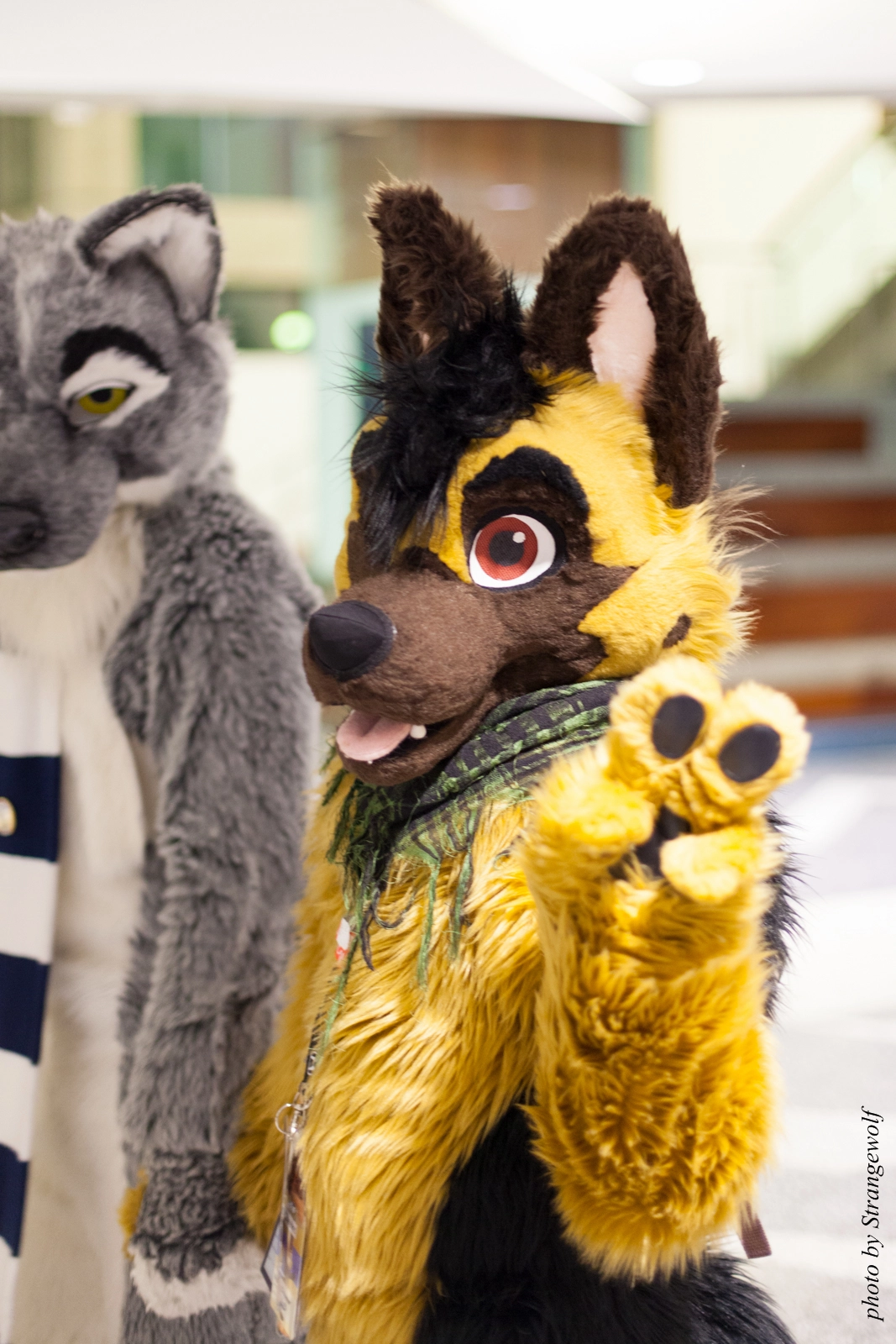 full image IMG_1245-lr16t.jpg