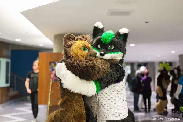 IMG_1163-lr16t.jpg of FC/FC2017/