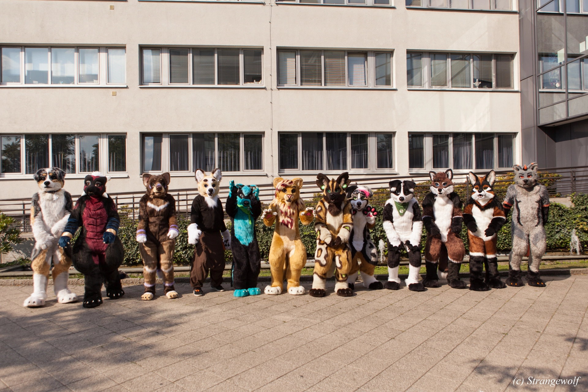 full image IMG_4961-lr19t.jpg