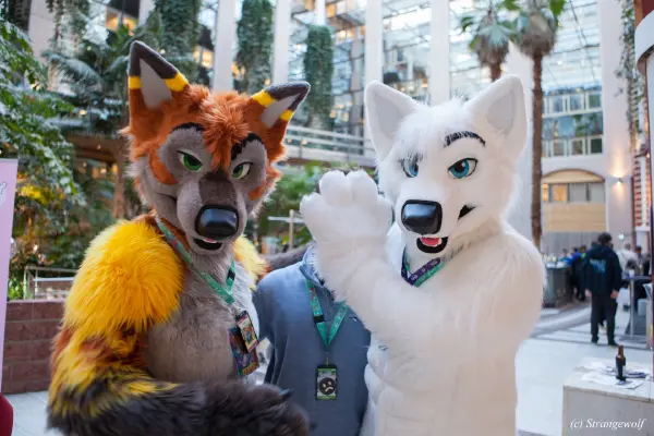 IMG_8740-lr19t.jpg of NFC/NFC2019/