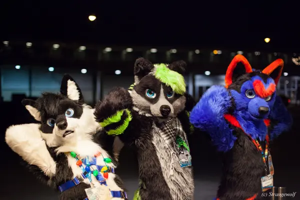 IMG_6574-lr19t.jpg of MFF/MFF2015/