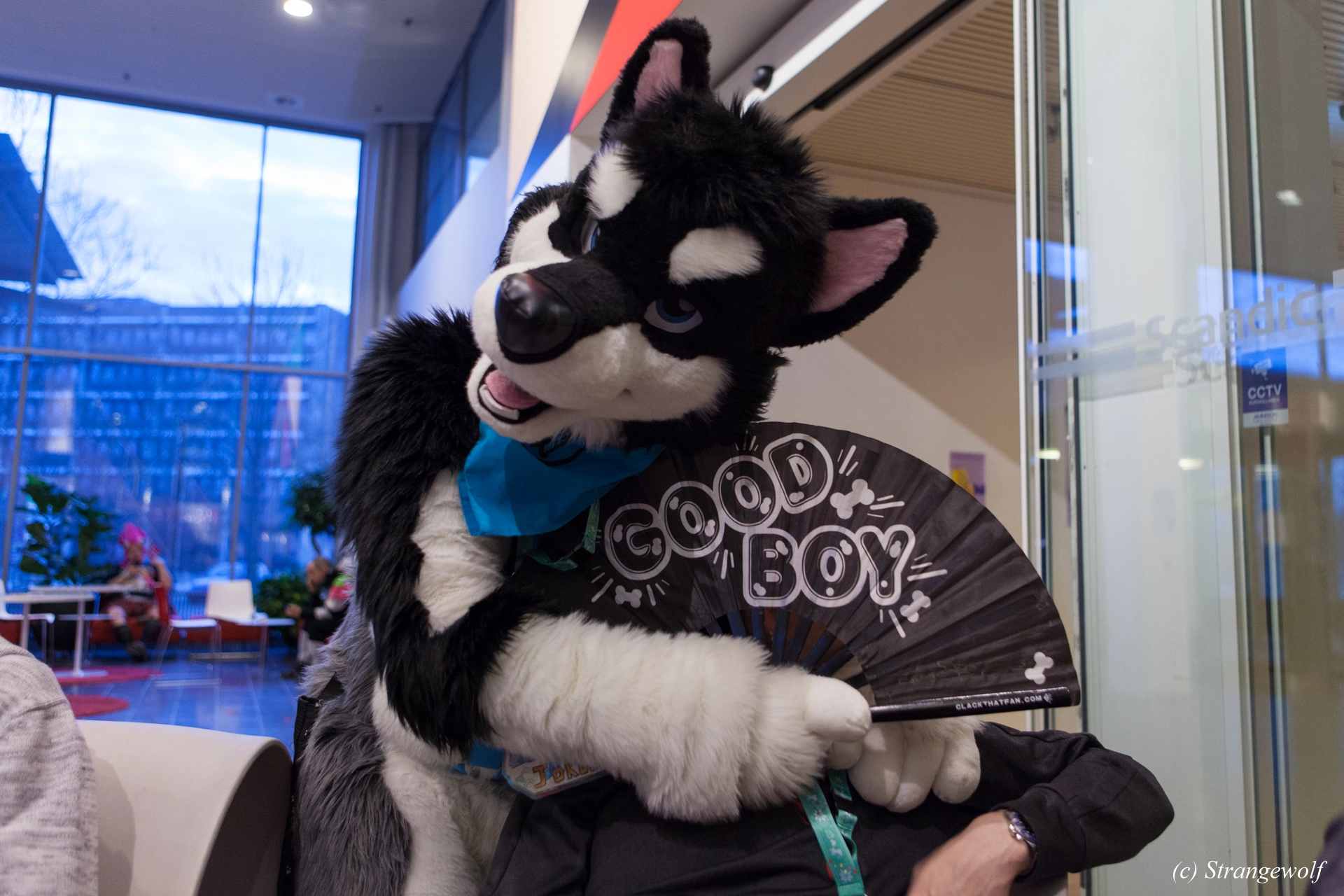 full image IMG_9294-lr19t.jpg