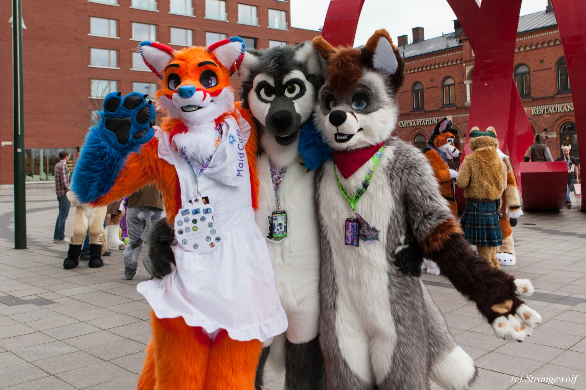 full image IMG_8395-lr19t.jpg