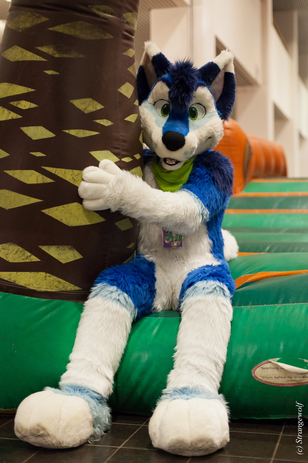 full image IMG_9022-lr19t.jpg