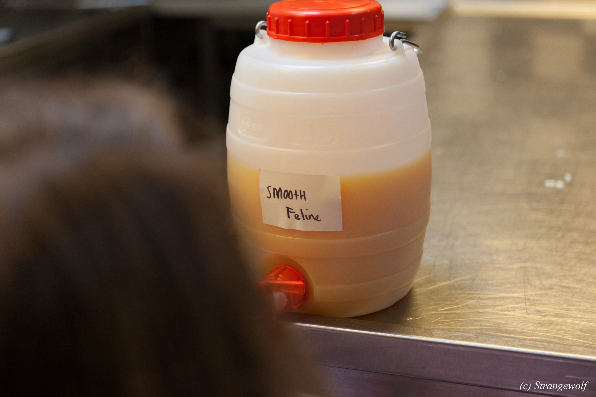 full image IMG_6792-lr19t.jpg