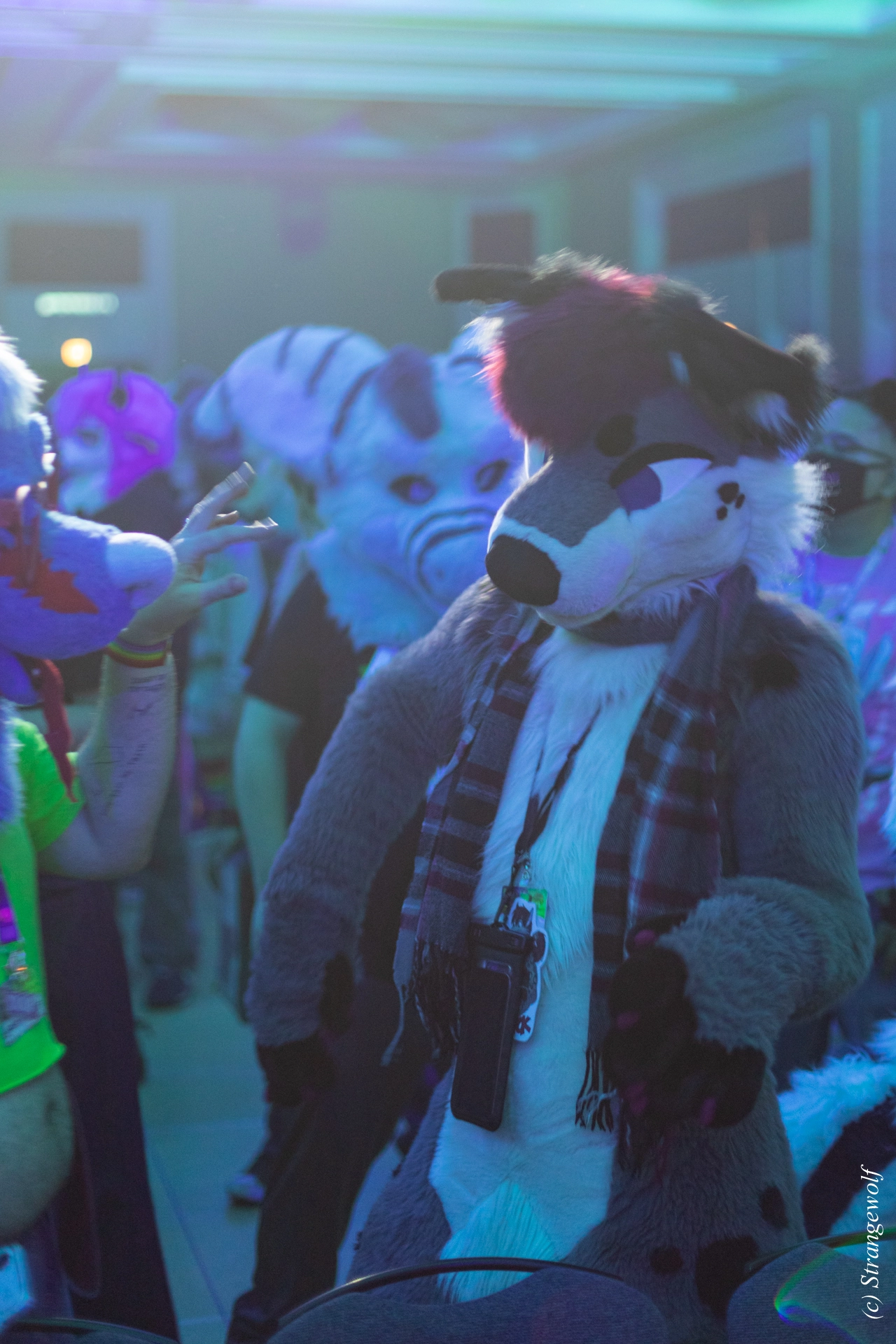 full image 1R3A0447-lr19t.jpg