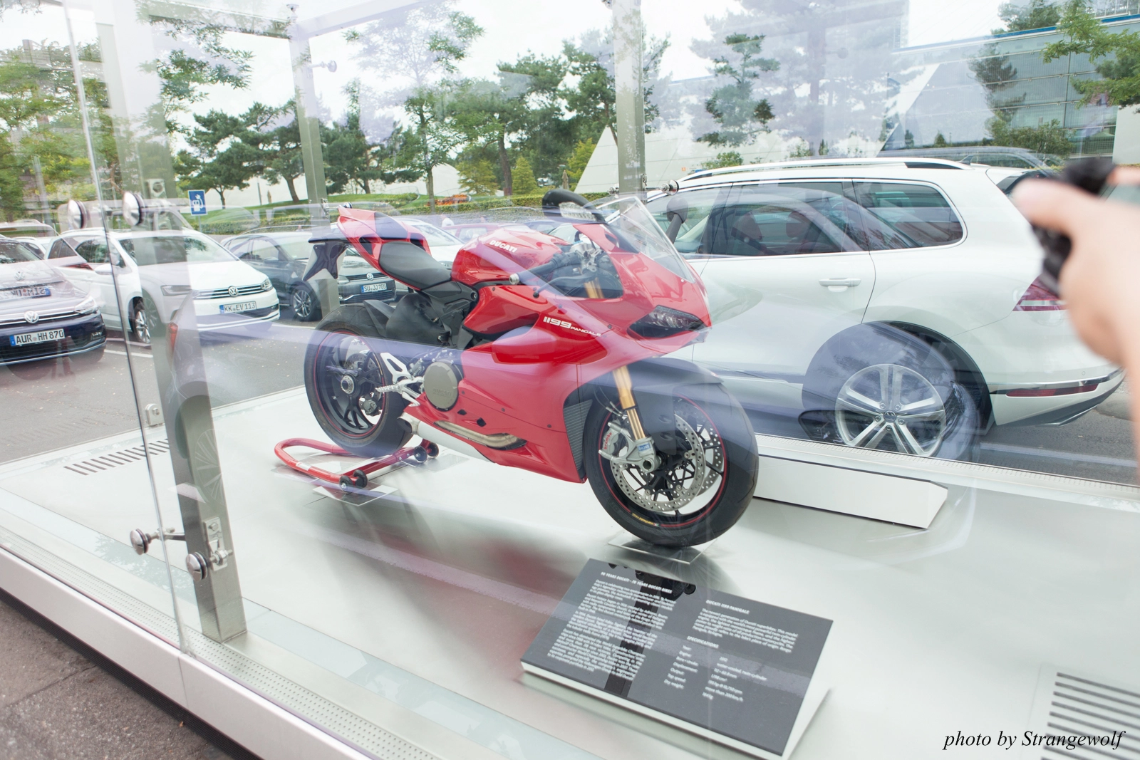 full image IMG_0447-lr16t.jpg