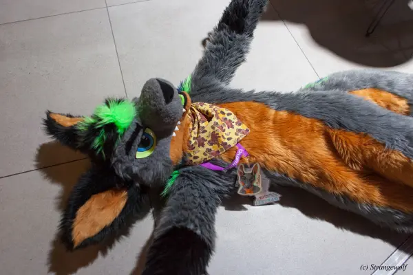 IMG_4841-lr19t.jpg of EF/EF24/