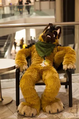 IMG_1351-lr19t.jpg of FWA/FWA2018/