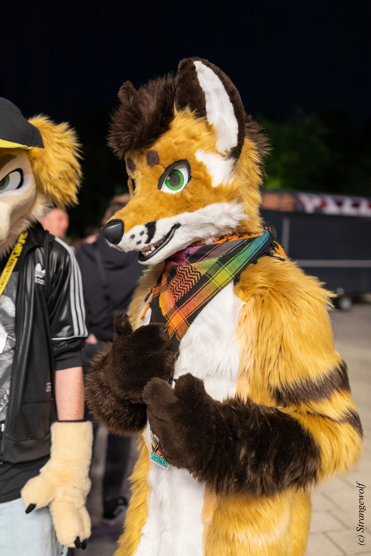 full image 1R3A9453-lr19t.jpg